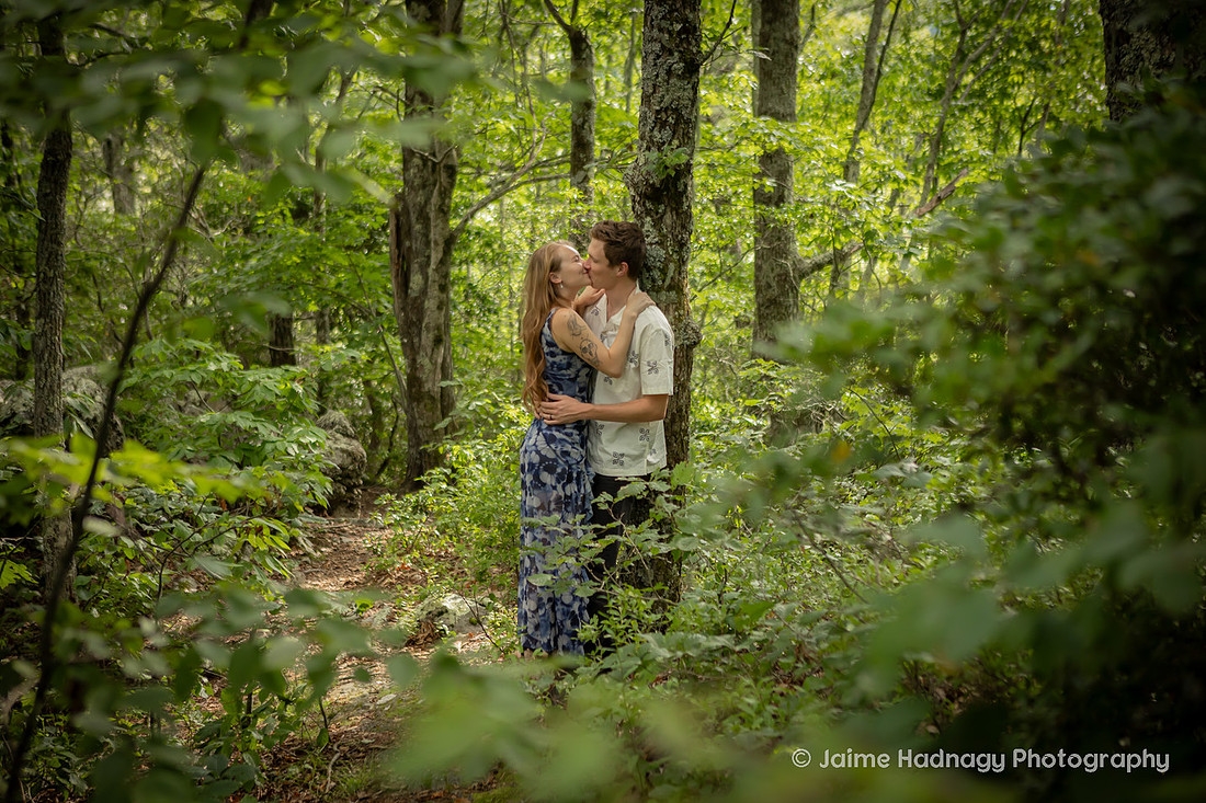 Engagement Photos in the Forest | Nature Couples Photographer Asheville