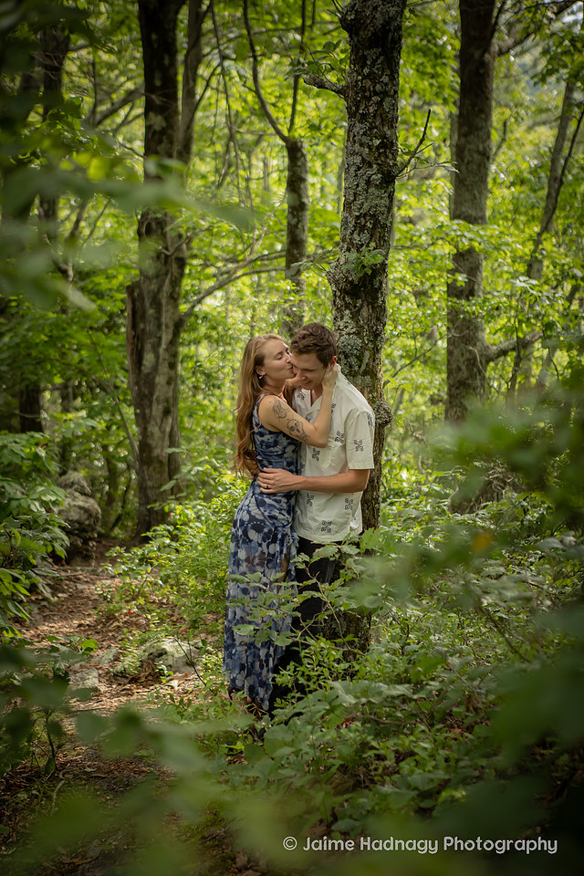 Engagement Photos in the Forest | Nature Couples Photographer Asheville