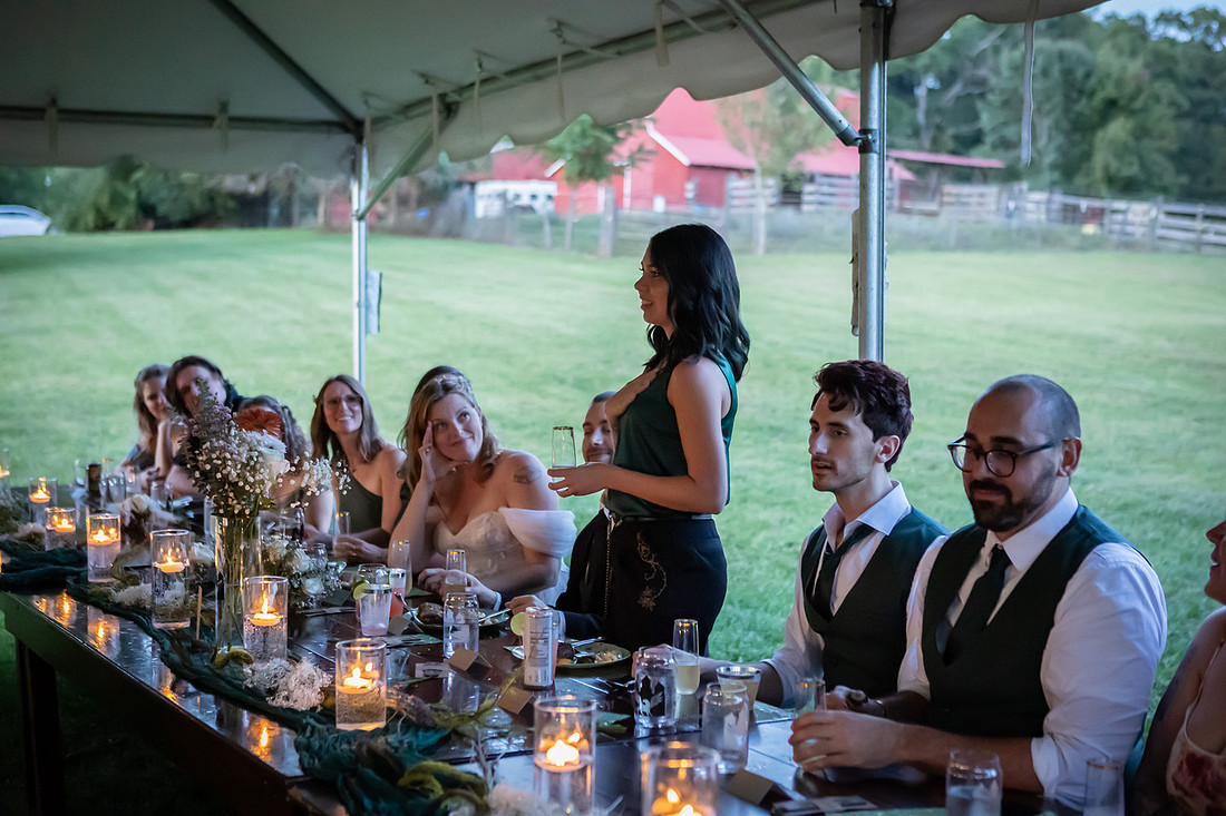 Wedding Reception Photos at Inninsfree Farm in Hendersonville NC | Asheville Photographer