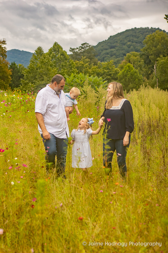 Family Photos in a Flower Field with Mountains | Asheville Photographer