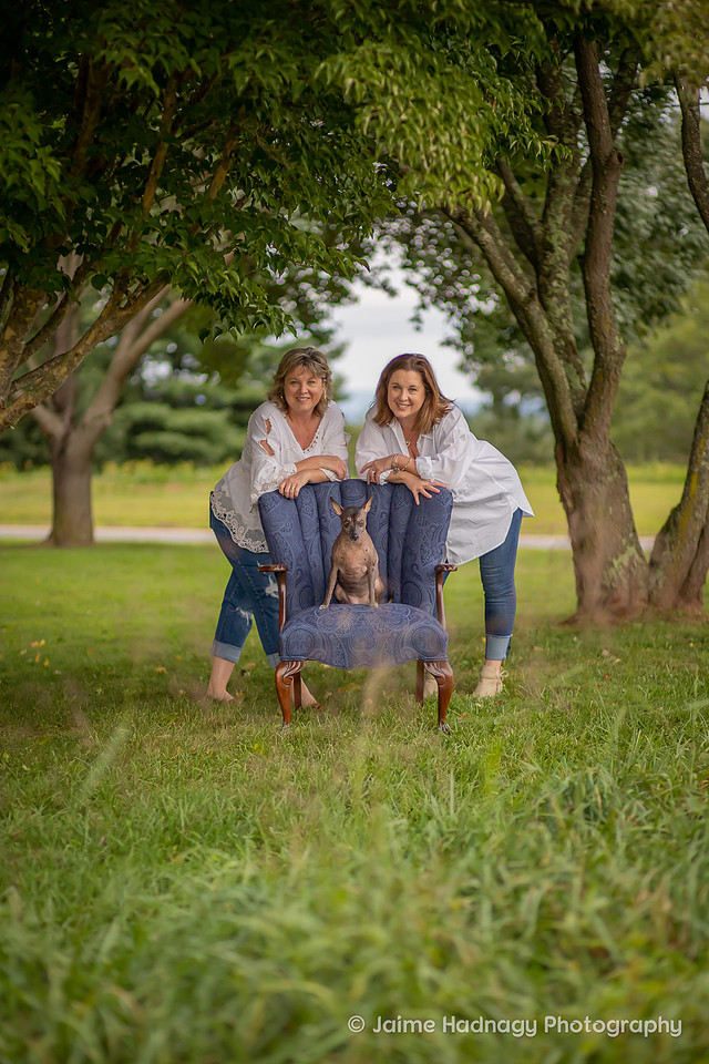 Asheville Family Photographer Portraits with dog in a chair outdoors