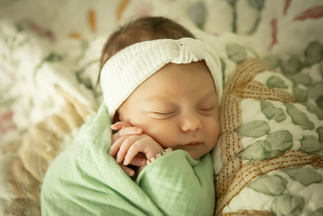 Newborn Baby Family Photos at Home in Asheville
