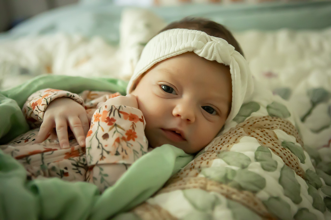 Newborn Baby Family Photos at Home in Asheville