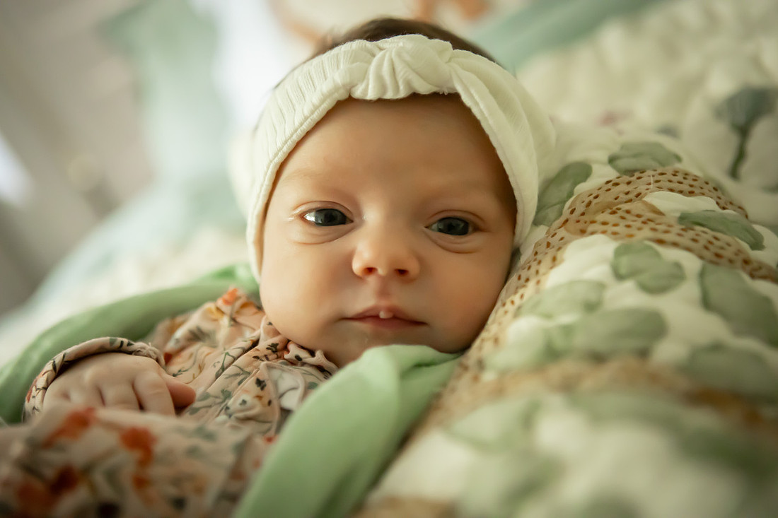 In Home Newborn Photoshoot | Asheville Family Photographer