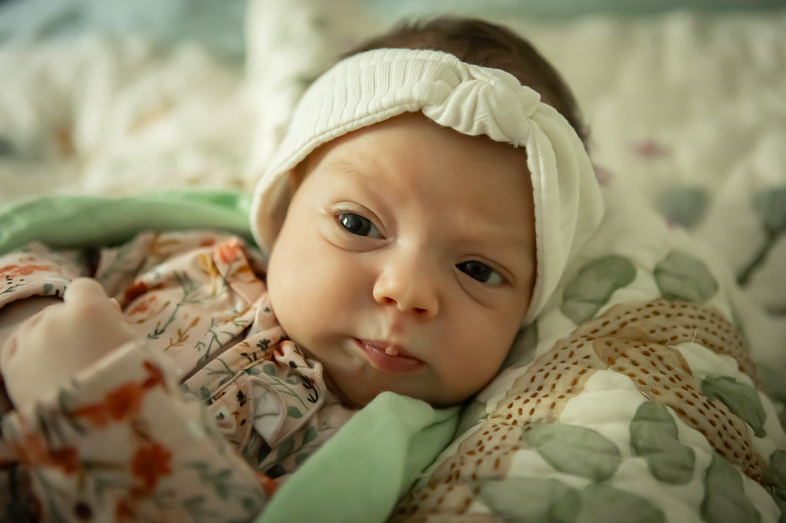 In Home Newborn Photoshoot | Asheville Family Photographer