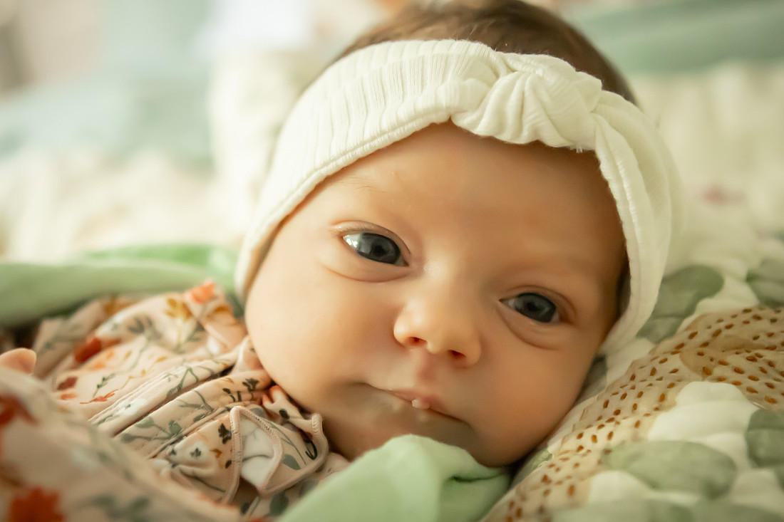 In Home Newborn Photoshoot | Asheville Family Photographer