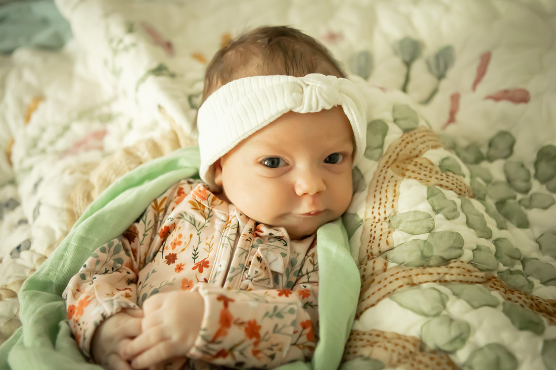 In Home Newborn Photoshoot | Asheville Family Photographer
