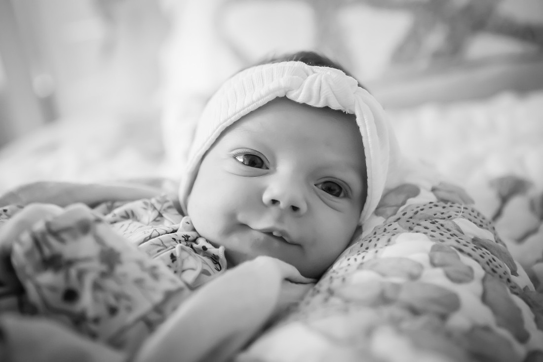 In Home Newborn Photoshoot | Asheville Family Photographer