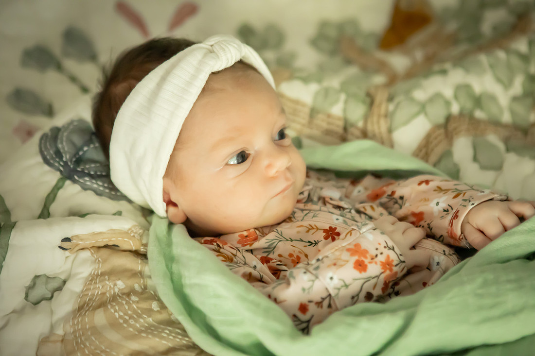 In Home Newborn Photoshoot | Asheville Family Photographer