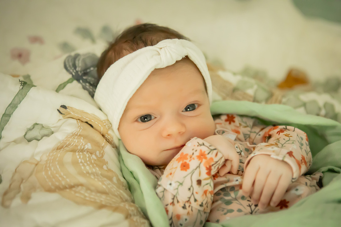 In Home Newborn Photoshoot | Asheville Family Photographer