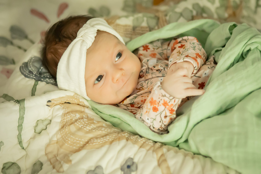 In Home Newborn Photoshoot | Asheville Family Photographer