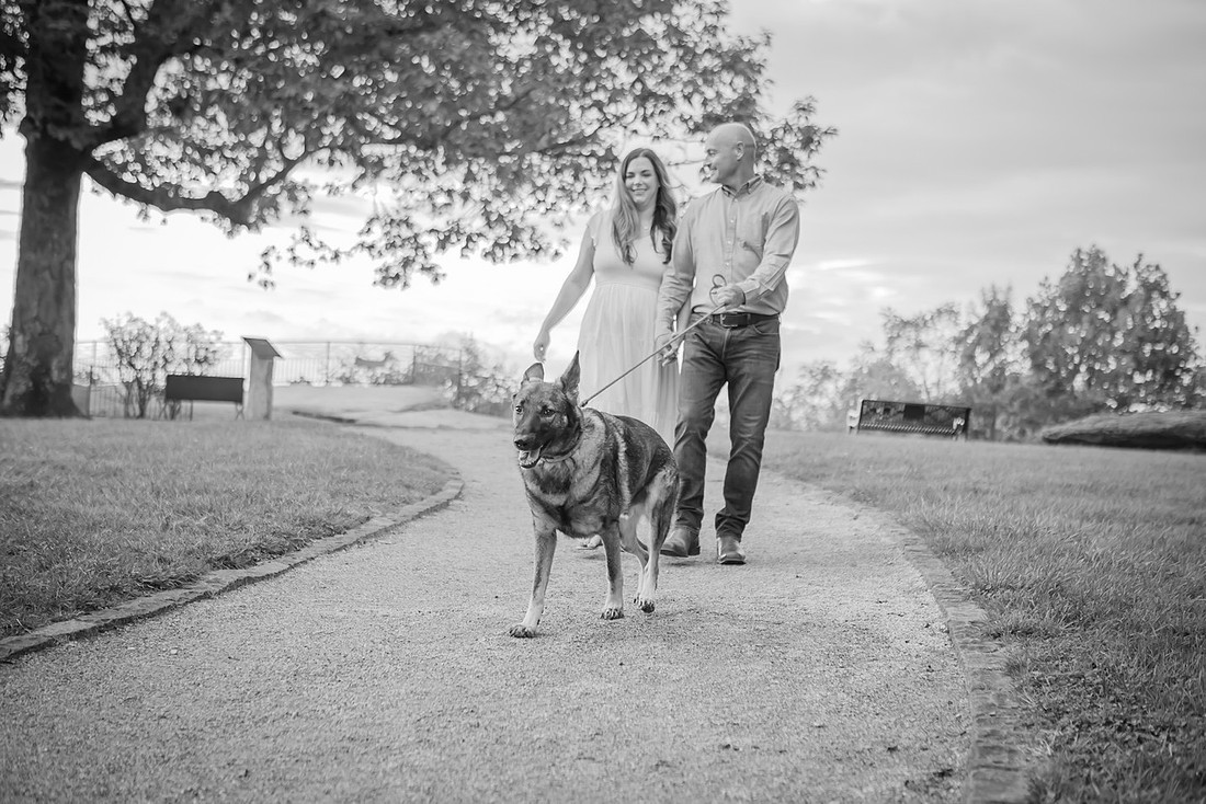 Engagement Photos with the Dog  in the Mountains at Jump Off Rock | Hendersonville Photographer