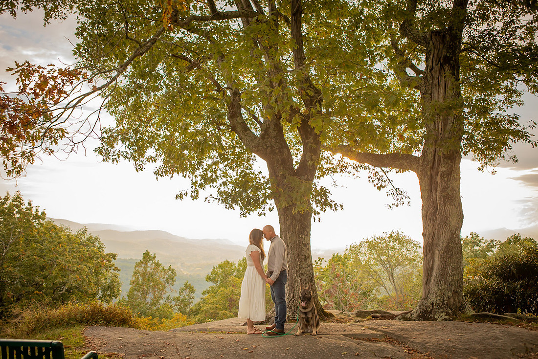 Engagement Photos with the Dog  in the Mountains at Jump Off Rock | Hendersonville Photographer
