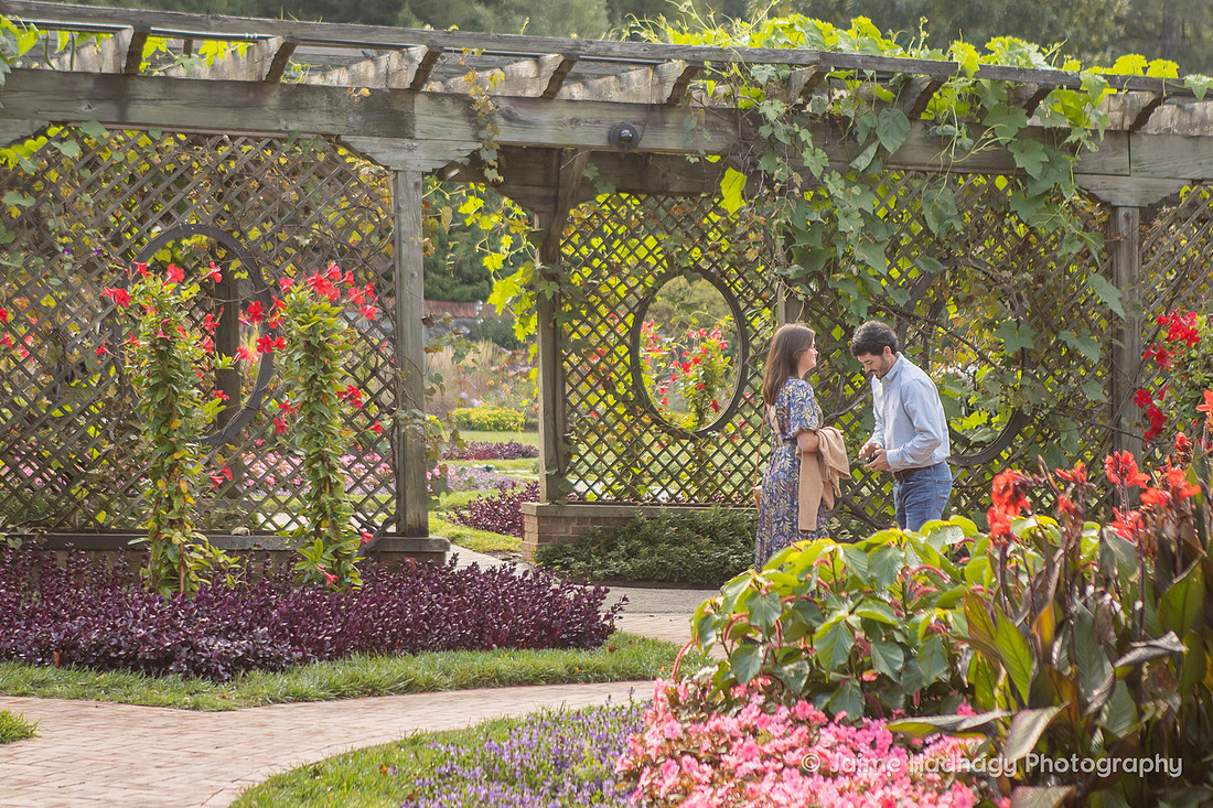 Surprise Proposal Photography | Asheville Engagement Photographer
