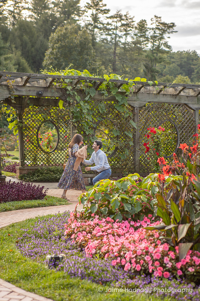 Surprise Proposal Photography | Asheville Engagement Photographer