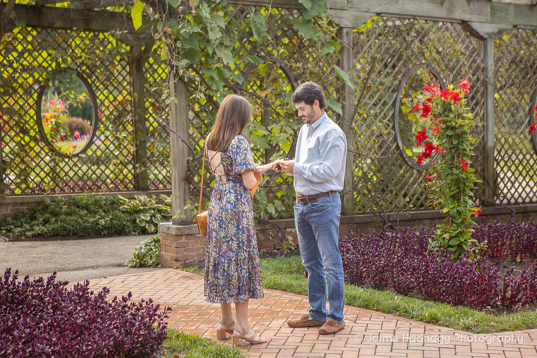 Surprise Proposal Photography | Asheville Engagement Photographer