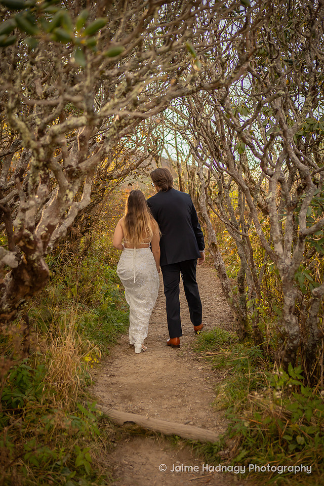 Elopement Photos on The Blue Ridge Parkway | Asheville Wedding Photographer