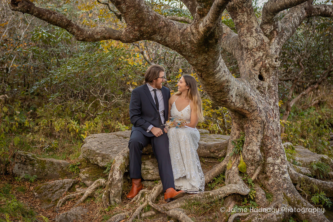 Elopement Photos on The Blue Ridge Parkway | Asheville Wedding Photographer