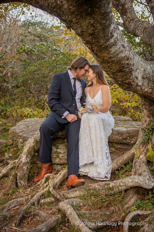 Elopement Photos on The Blue Ridge Parkway | Asheville Wedding Photographer