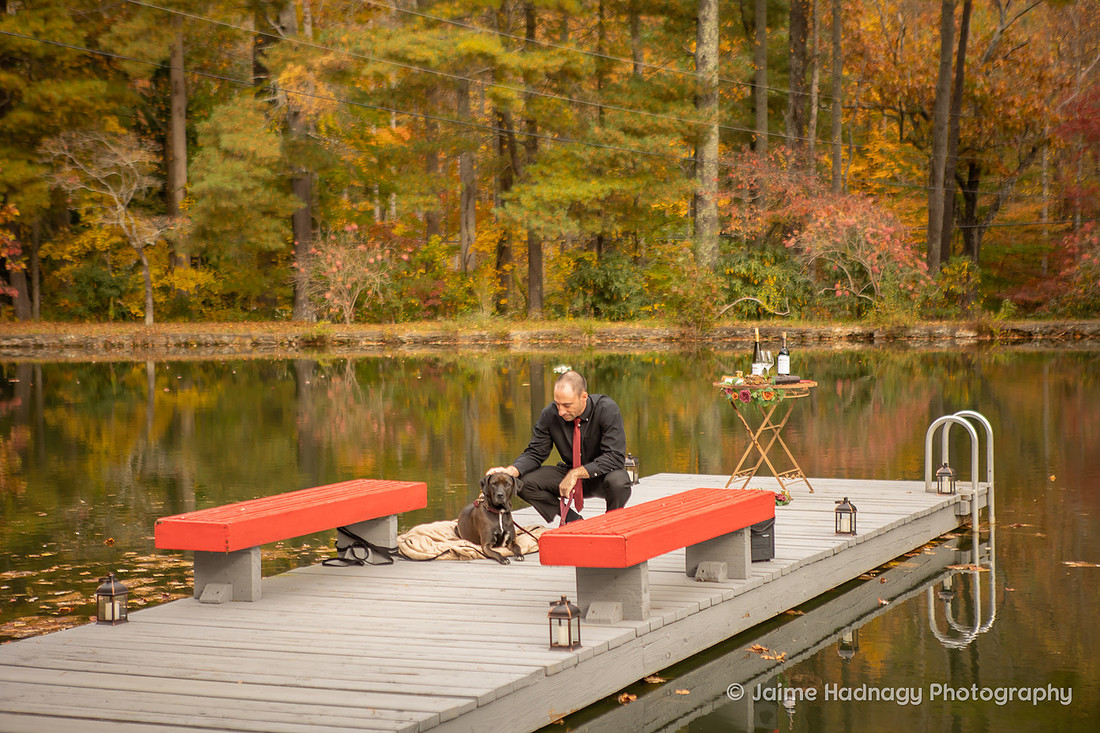 Elopement at Asheville AirBNB with dog | Wedding Photographer