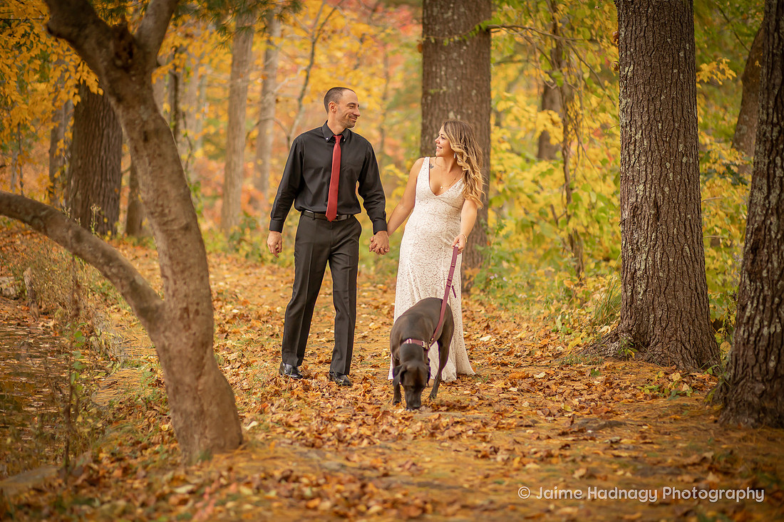 Gorgeous Bridal Photos Couple with Dog on Wedding Day | Asheville Elopement Photographer