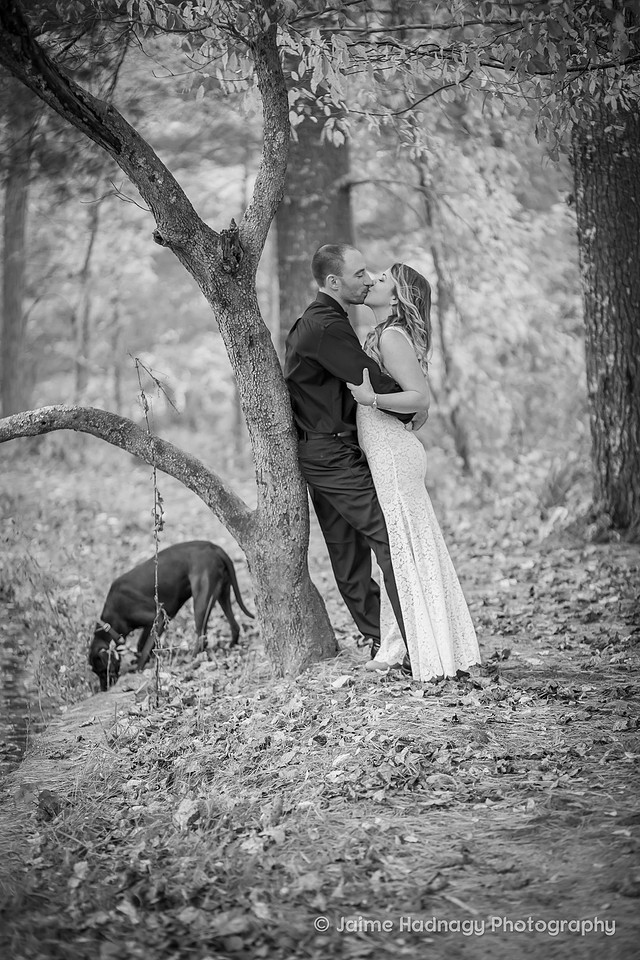 Gorgeous Bridal Photos Couple with Dog on Wedding Day | Asheville Elopement Photographer