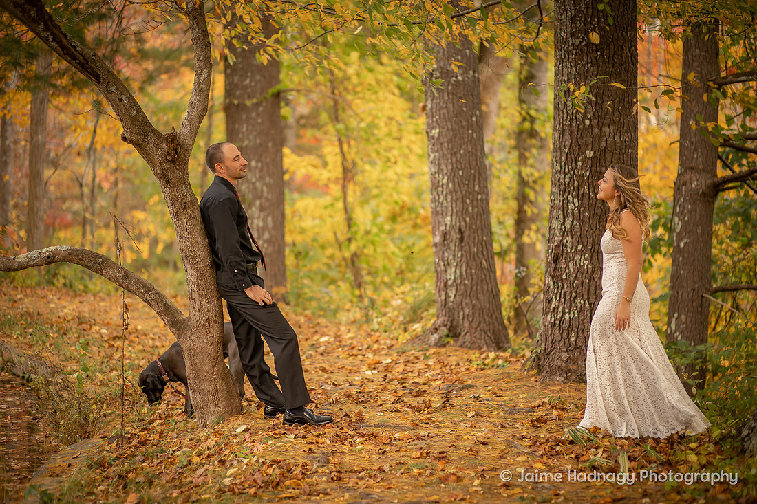 Gorgeous Bridal Photos Couple with Dog on Wedding Day | Asheville Elopement Photographer