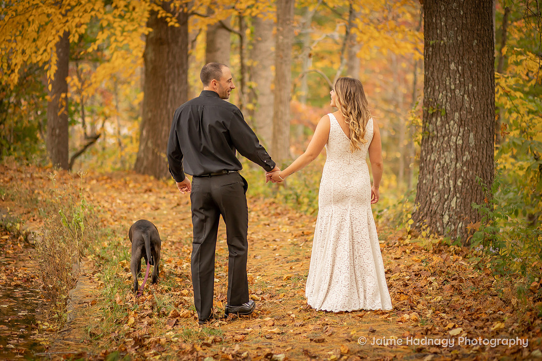Wedding Photos in Nature with the dog | Asheville Elopement Photographer