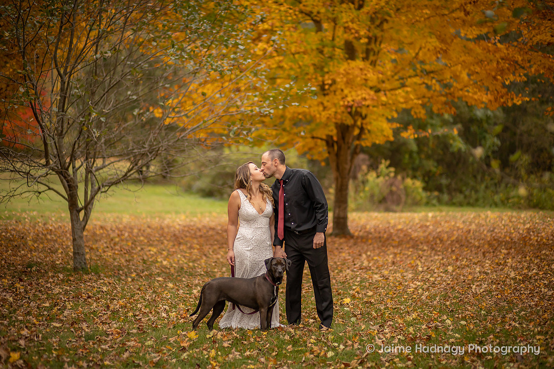 Wedding Day Photos in Nature | Asheville Elopement Photographer