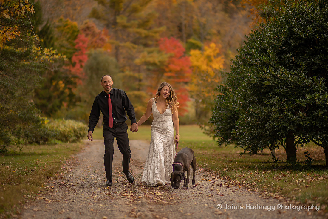 Wedding Day Photos in Nature | Asheville Elopement Photographer