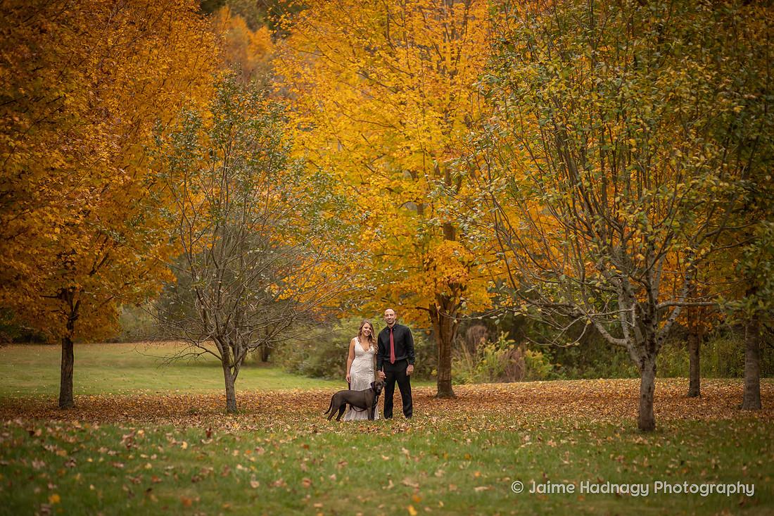 Wedding Day Photos in Nature | Asheville Elopement Photographer