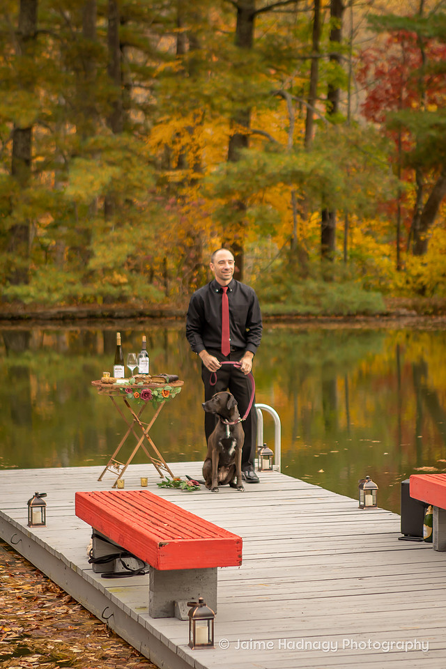 Elopement at Asheville AirBNB with dog | Wedding Photographer
