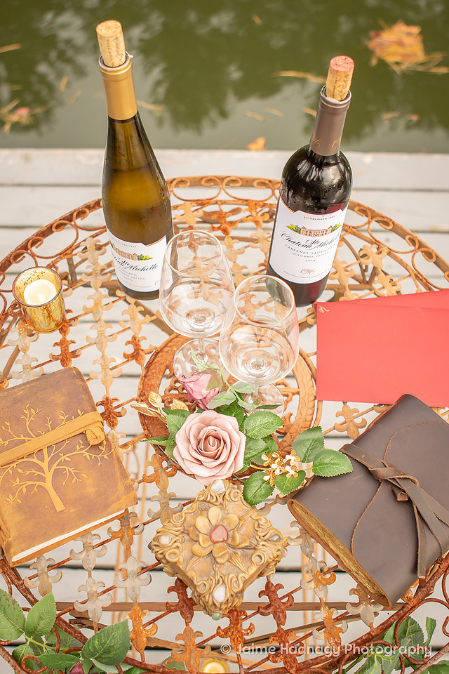 Elopement at Asheville AirBNB with dog | Wedding Photographer