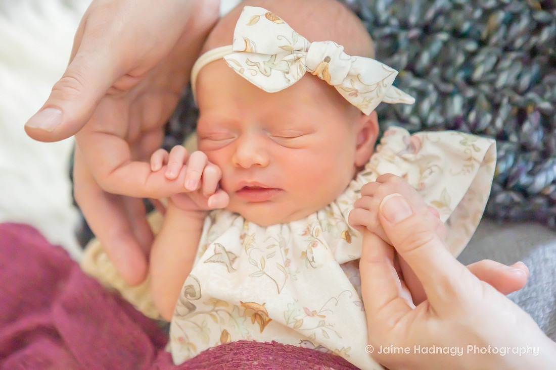 Newborn Photographer Asheville
