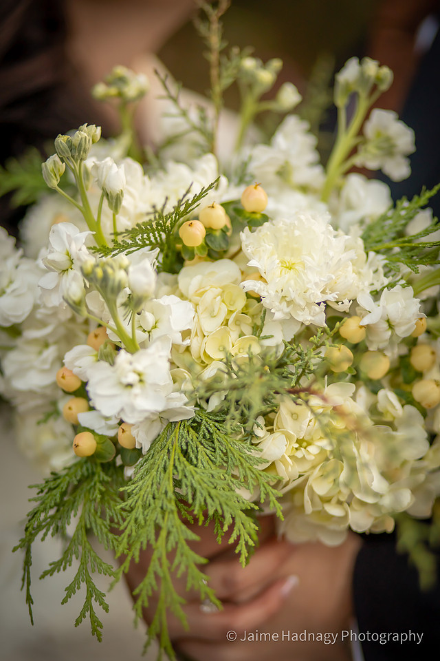 Biltmore Elopement Package | Asheville Photographer