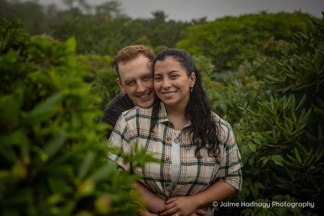 Engagement Photos on a Foggy Day in the Mountains | Asheville Surprise Proposal Photographer