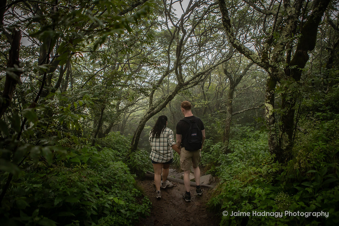 Engagement Photos on a Foggy Day in the Mountains | Asheville Surprise Proposal Photographer