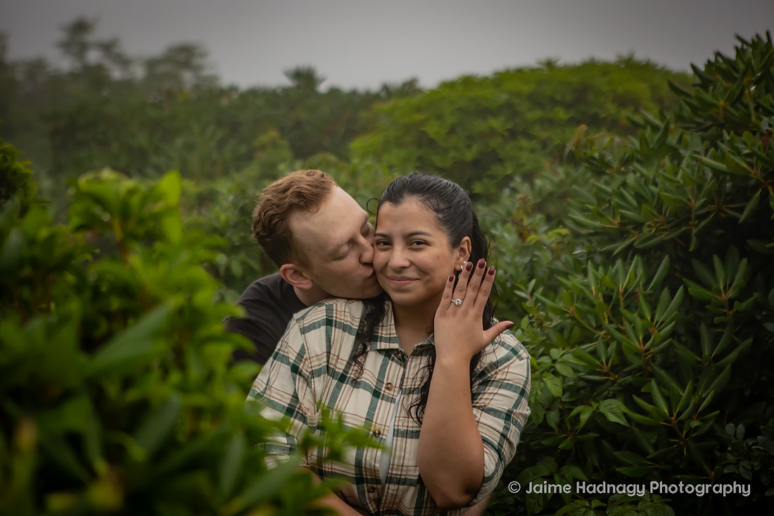 Craggy Pinnacle Hiking Proposal in the Rain