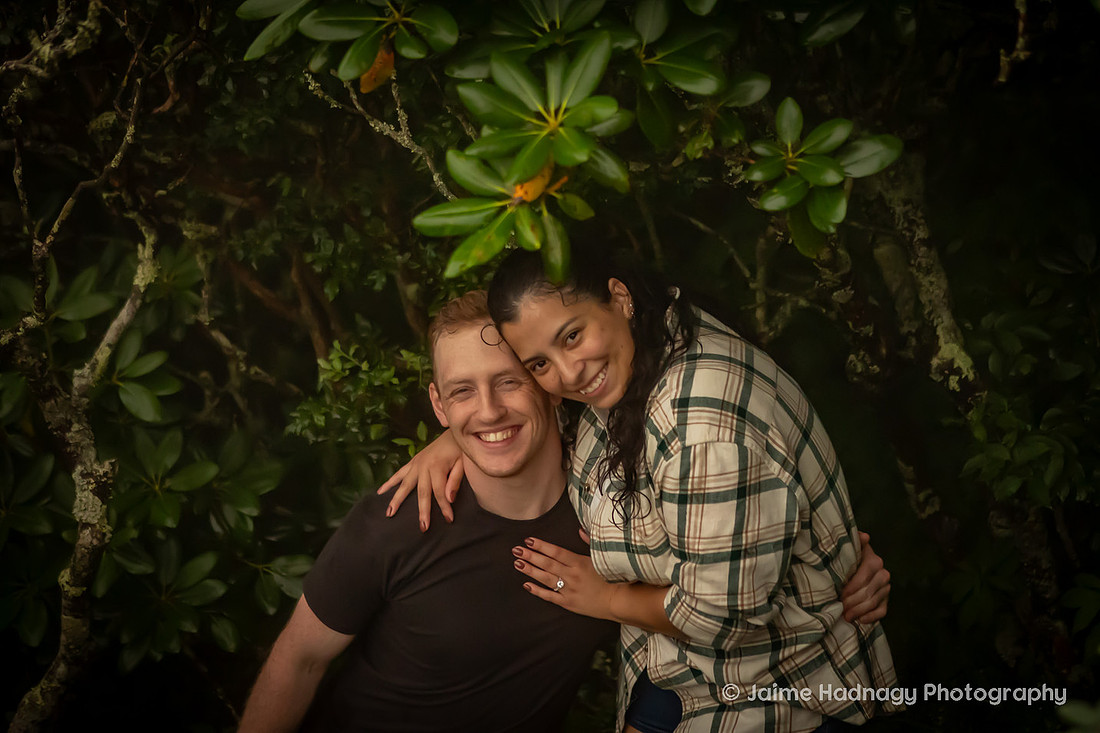 Craggy Pinnacle Hiking Proposal in the Rain