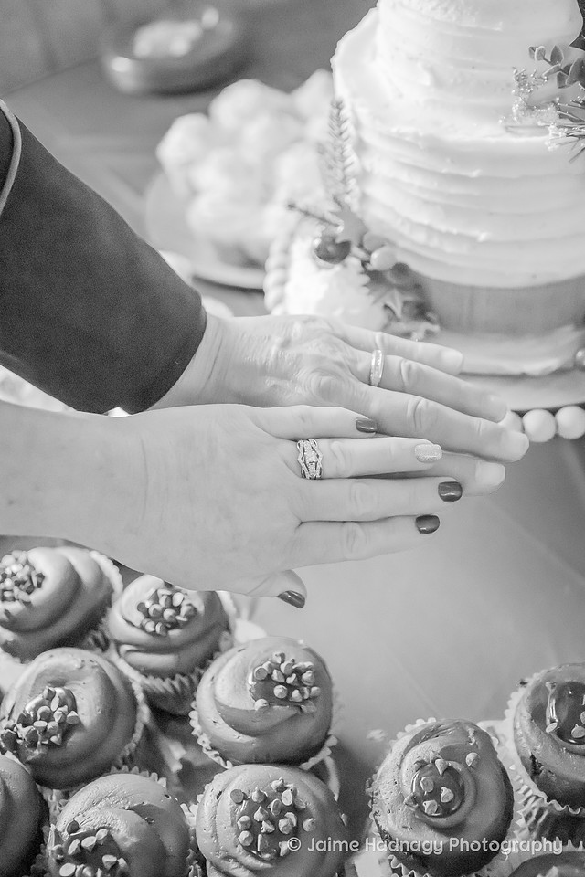 Wedding Photos | Asheville Photographer | Western Carolina