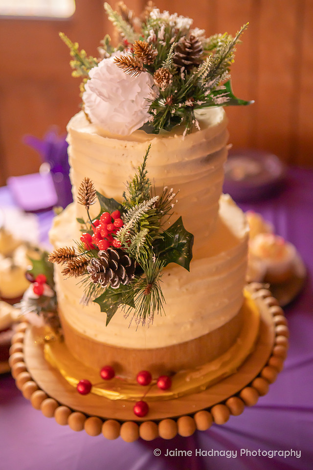 Wedding Photos | Asheville Photographer | Western Carolina