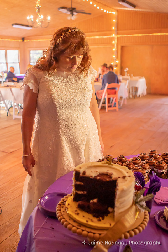 Wedding Reception Photos at Springmaid Mountain Spruce Pine | WNC Elopement Photographer