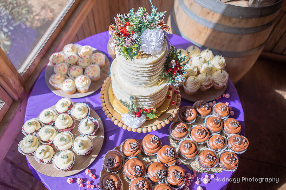 Small Outdoor Wedding at Springmaid Mountain | Asheville Photographer