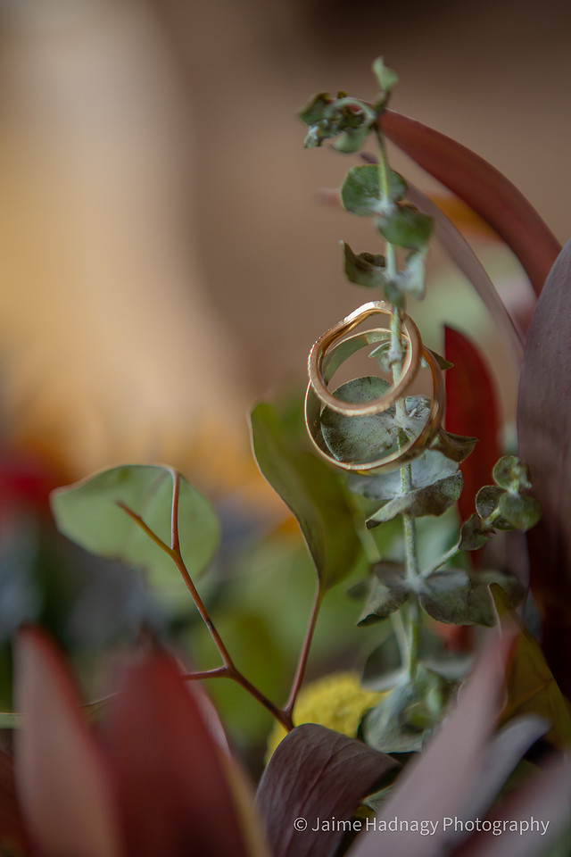 Bride Getting Ready Photos and Detail Shots | Asheville Wedding Photographer