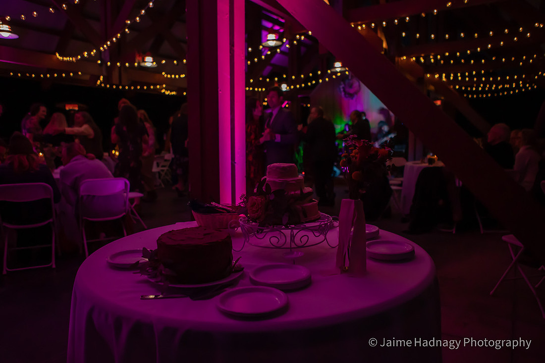 Dancing Photos from Wedding Reception | Asheville Photographer