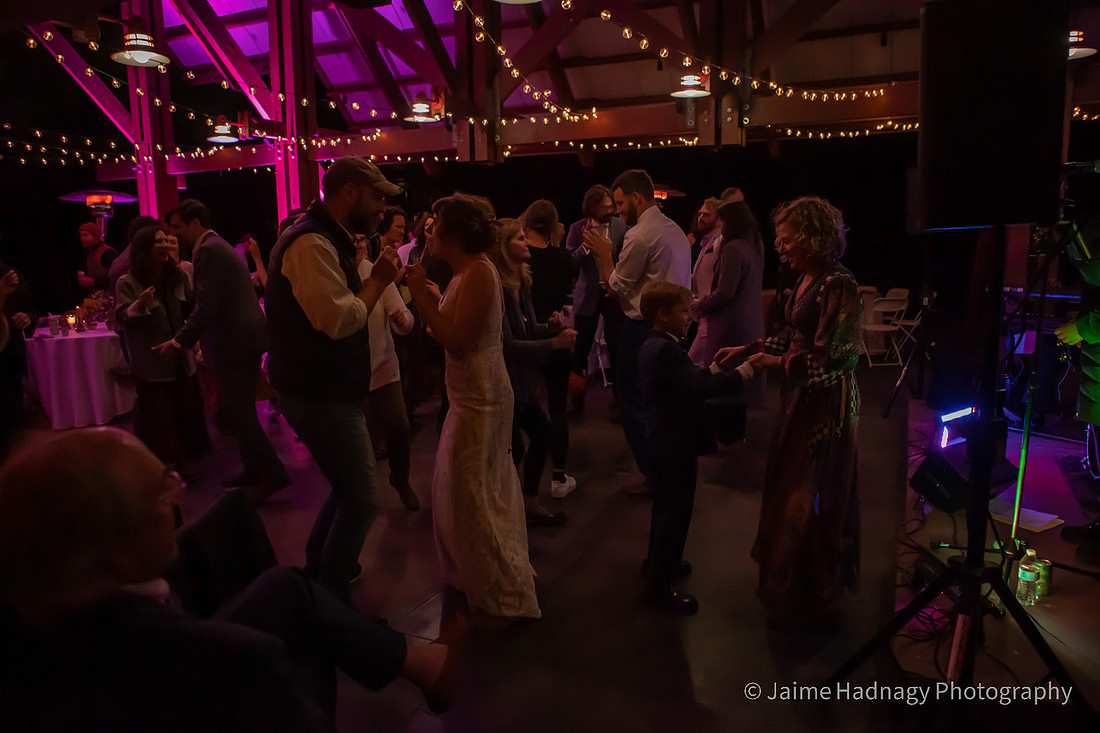 Dancing Photos from Wedding Reception | Asheville Photographer
