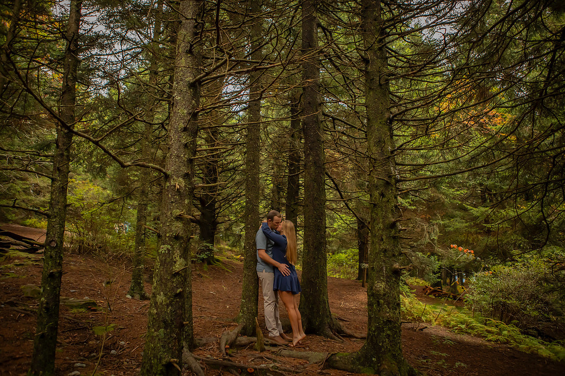 Engagement Photos at Black Balsam Western NC Photographer