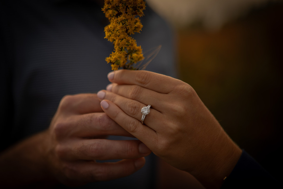 Black Balsam Engagement Photos | Asheville Photographer