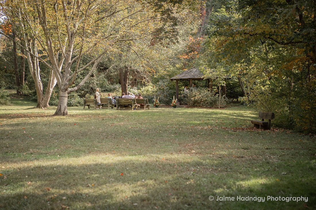 Wedding Photos from Botanical Gardens Asheville