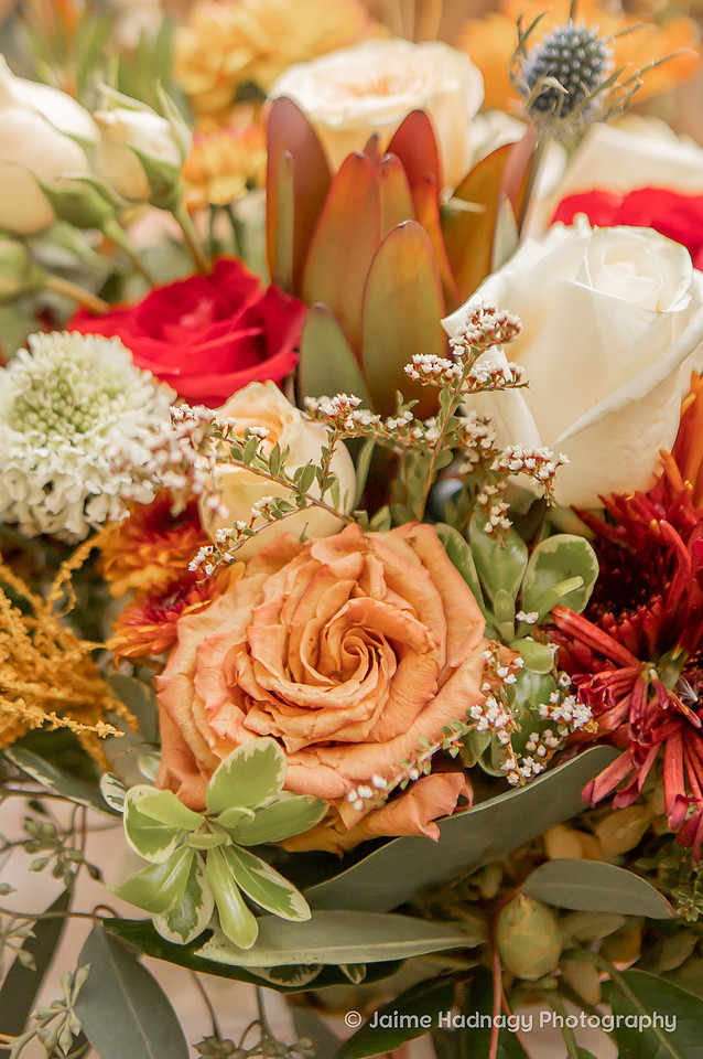 Fall Wedding at Botanical Gardens Asheville | Elopement Photographer